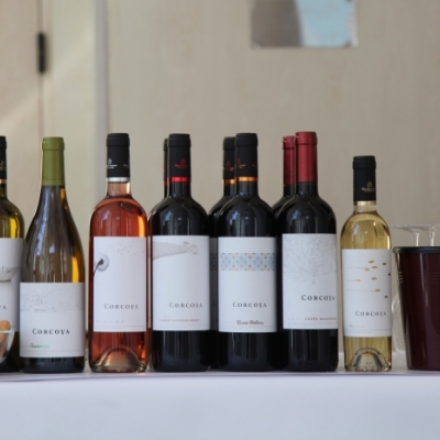 Revino Wine Fair 2016