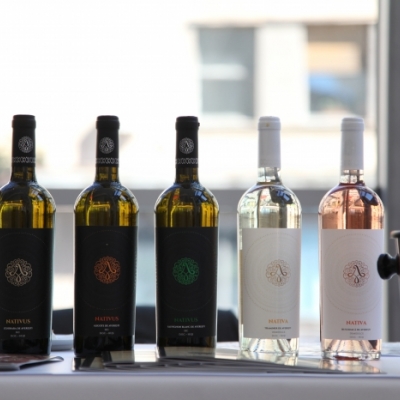 Revino Wine Fair 2016
