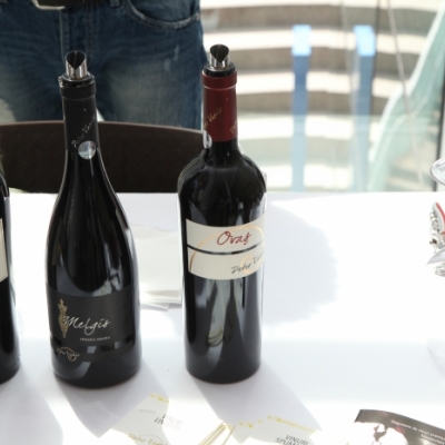 Revino Wine Fair 2016
