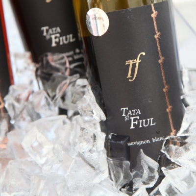 Revino Wine Fair 2016