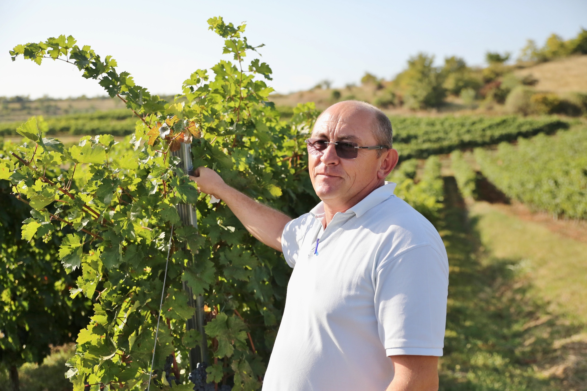 Aurel Rotarescu SERVE Dealu Mare